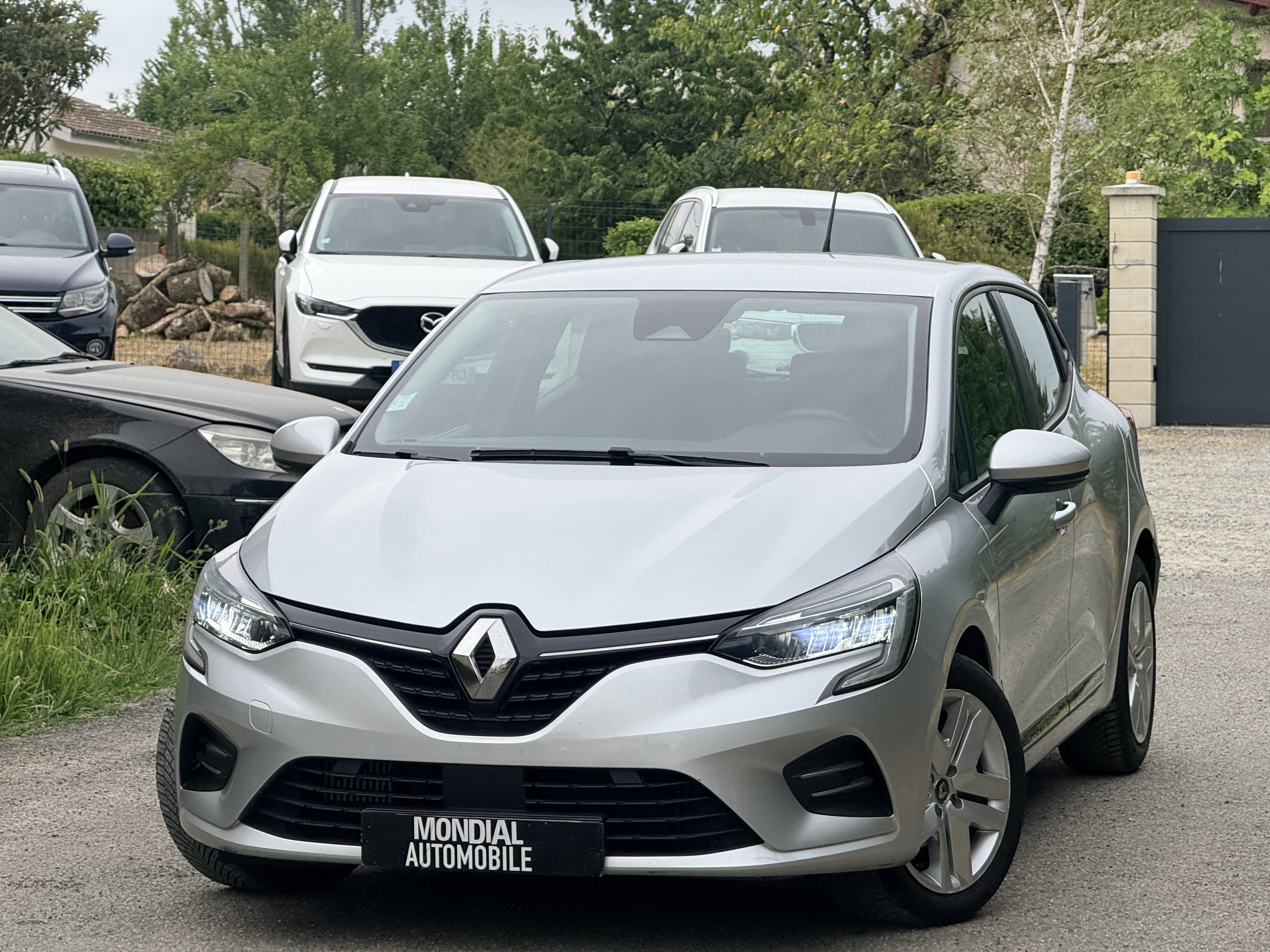 RENAULT Renault Clio TCE 100 BUSINESS